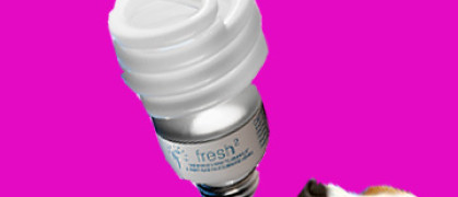 odor zapping bulb.jpg